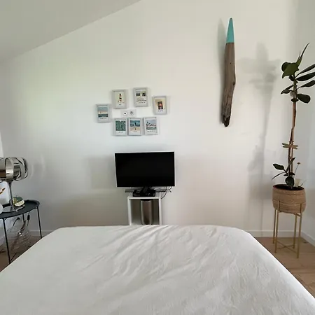 Πανσιόν Cocon Cosy Entre Terre & 3*